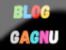 Le blog de M. Gagnu